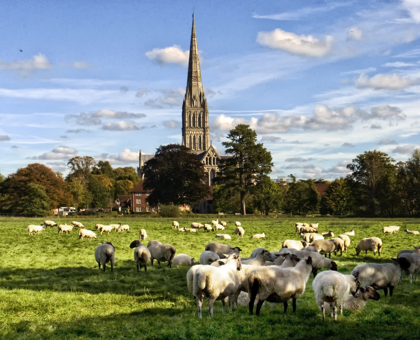 3 Days Exploring South Wiltshire: History, Culture & Beautiful Landscapes 3 Days Exploring South Wiltshire: History, Culture & Beautiful Landscapes